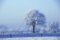 B.Geerligs.19-1-08-0839